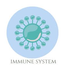Immuno+ Complex - forum - Bewertung - Aktion